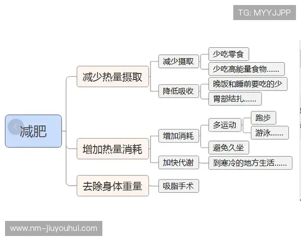 山羊笔记深度解读足球战术演变与球场智慧背后的思维逻辑